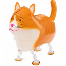 К ХОД Кот рыжий